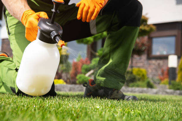 Best Commercial Pest Control Services  in Alb, IA