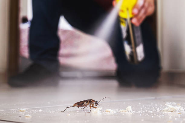 Best Wildlife Control Services  in Alb, IA