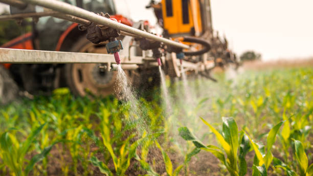 Best Pest Prevention Services  in Alb, IA